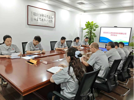 連云港江山神絲新材料有限公司召開(kāi)支部成立會(huì )議